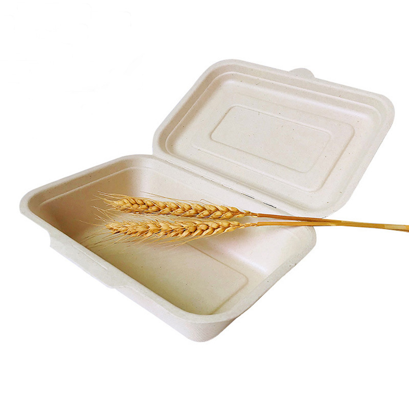 Producto biodegradable comida china bento para llevar fiambrera grande de pulpa de bagazo de caña de azúcar con tapa