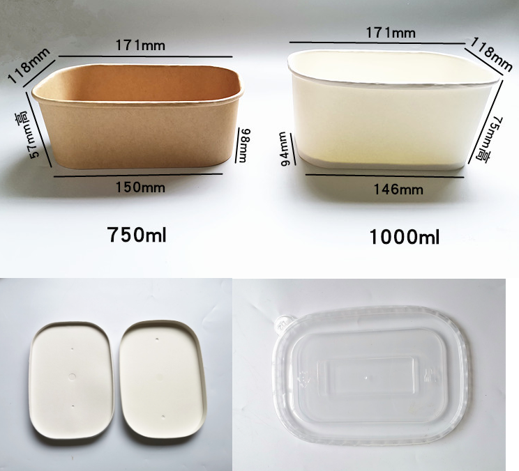 Ensaladeras rectangulares cuadradas abonablees amistosas de la prenda impermeable y del aceite el 100% de Eco con la tapa