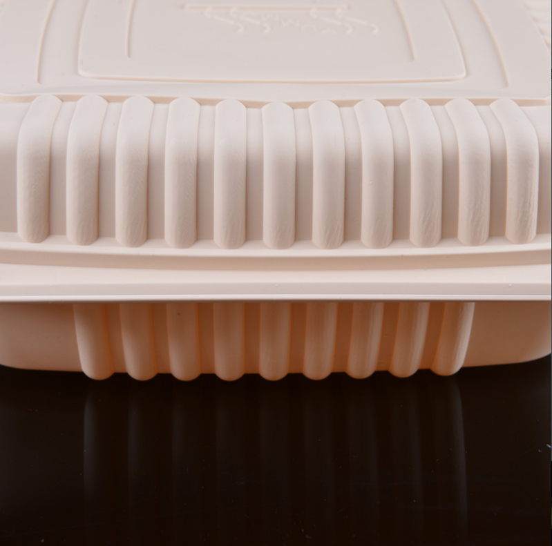 Caja para llevar disponible biodegradable del almuerzo del 100% con 2 compartimentos